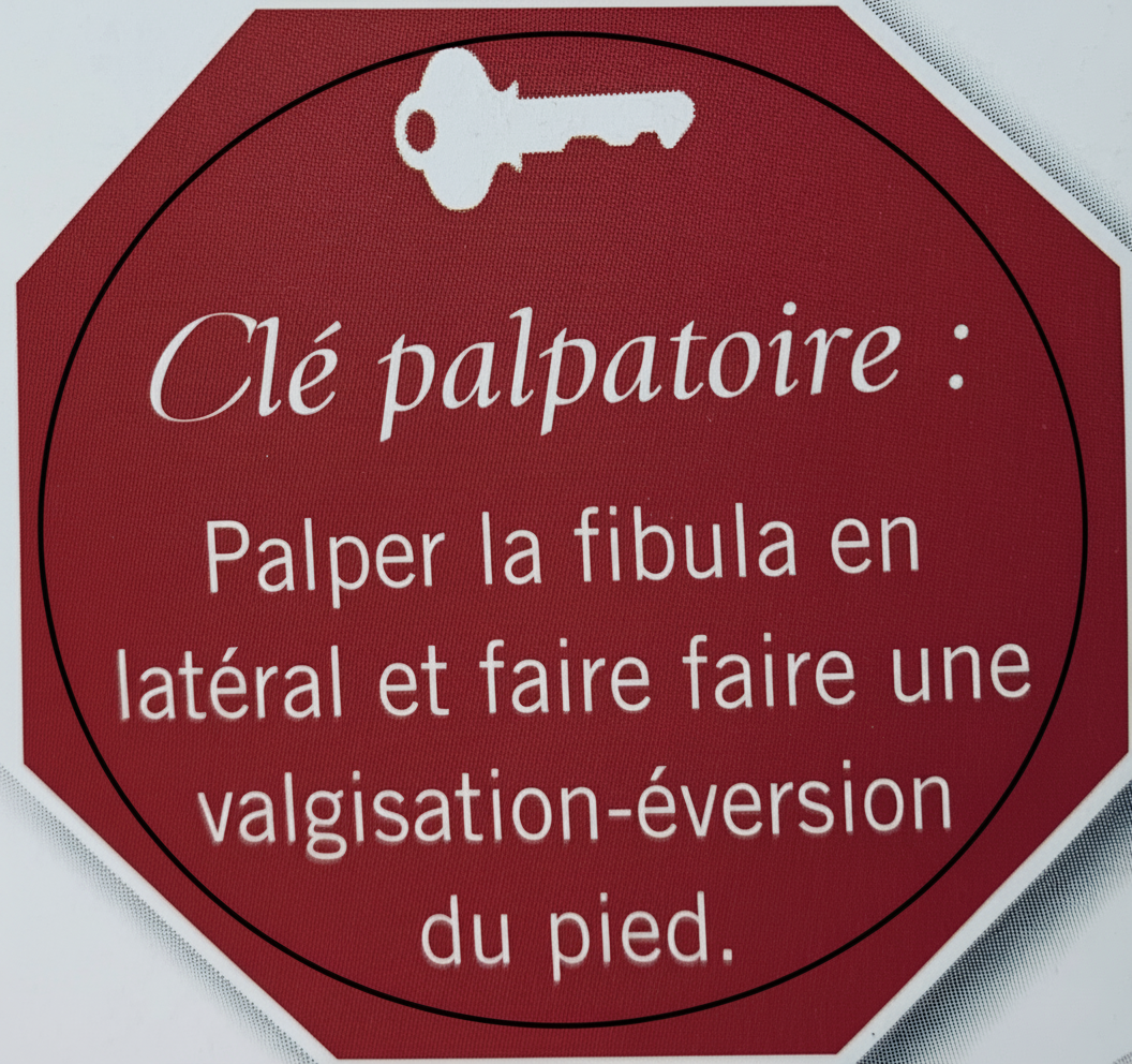 Formation en aiguille sèche — pratique en groupe